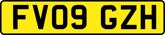 FV09GZH