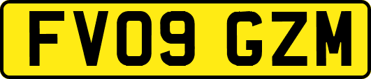 FV09GZM