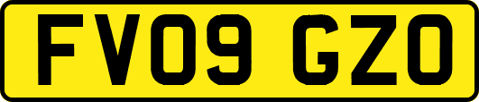 FV09GZO