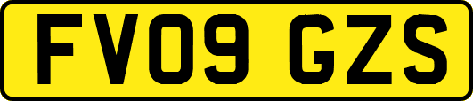 FV09GZS