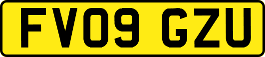 FV09GZU