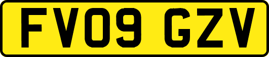 FV09GZV