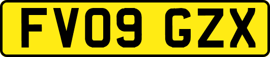 FV09GZX