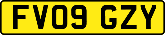 FV09GZY