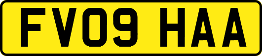 FV09HAA
