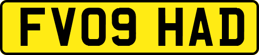 FV09HAD