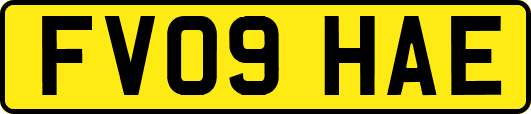 FV09HAE