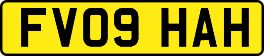 FV09HAH