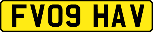 FV09HAV