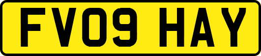 FV09HAY