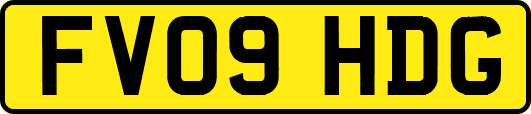 FV09HDG