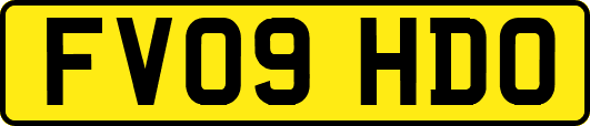 FV09HDO