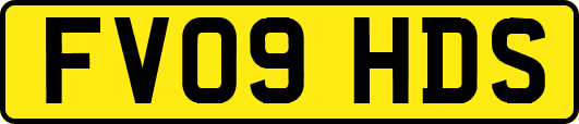FV09HDS