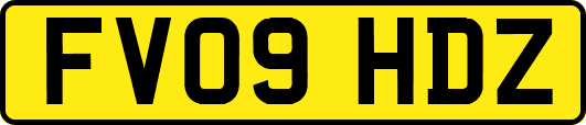 FV09HDZ