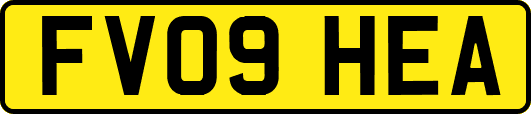 FV09HEA