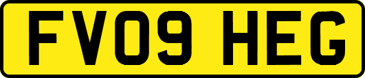 FV09HEG