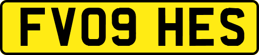 FV09HES