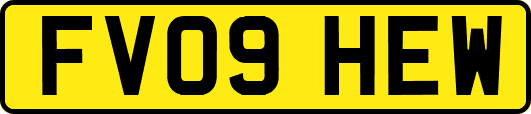 FV09HEW