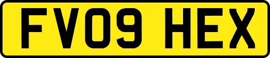 FV09HEX
