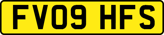 FV09HFS