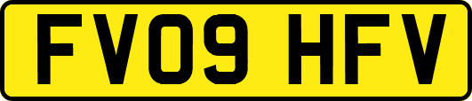 FV09HFV