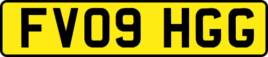 FV09HGG