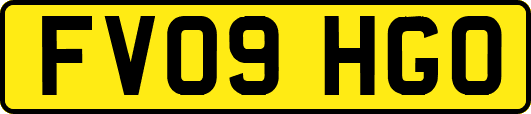 FV09HGO