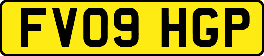 FV09HGP