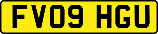 FV09HGU