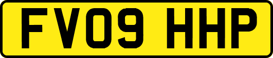 FV09HHP