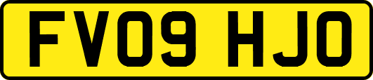FV09HJO