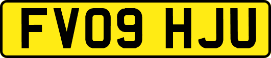 FV09HJU