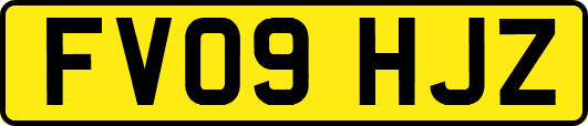 FV09HJZ