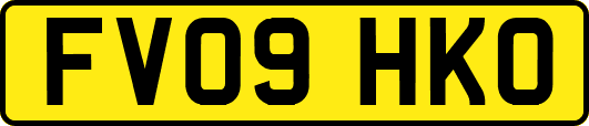FV09HKO