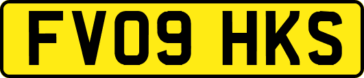 FV09HKS