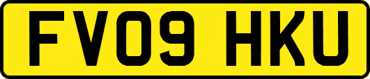 FV09HKU