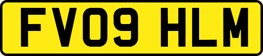 FV09HLM