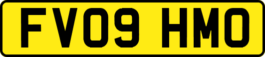FV09HMO