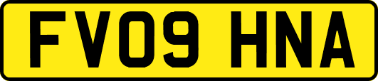 FV09HNA