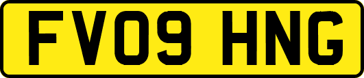 FV09HNG