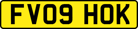 FV09HOK