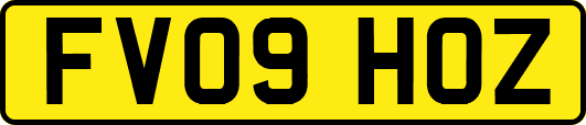 FV09HOZ