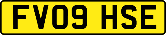 FV09HSE