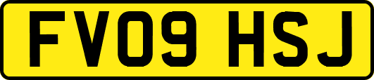 FV09HSJ