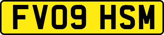 FV09HSM