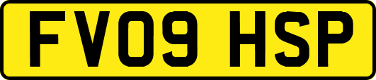 FV09HSP