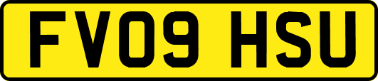 FV09HSU