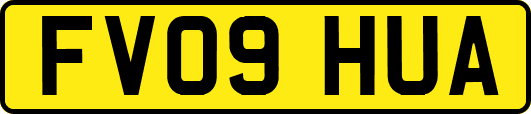 FV09HUA
