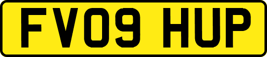 FV09HUP