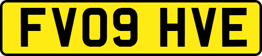 FV09HVE